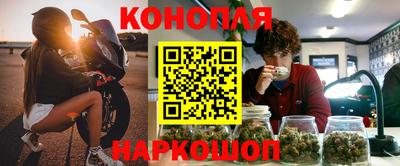прущие крисы Аргун