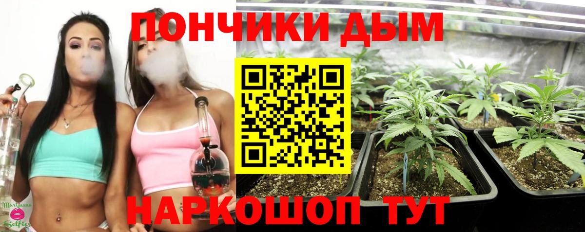 Канабис OG Kush Ачинск